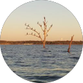 Franklin Orehek profile picture