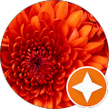 prasad sriram profile picture