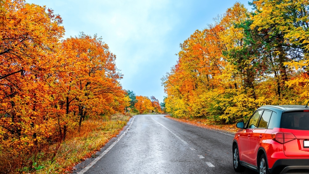 Fall oil change